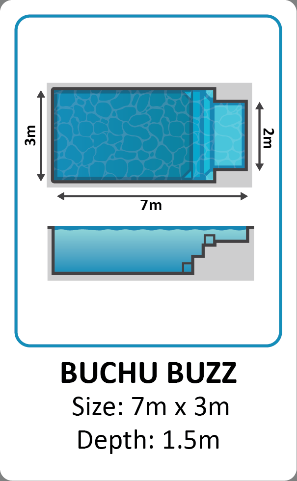 Buchu Buzz fibreglass pool shape