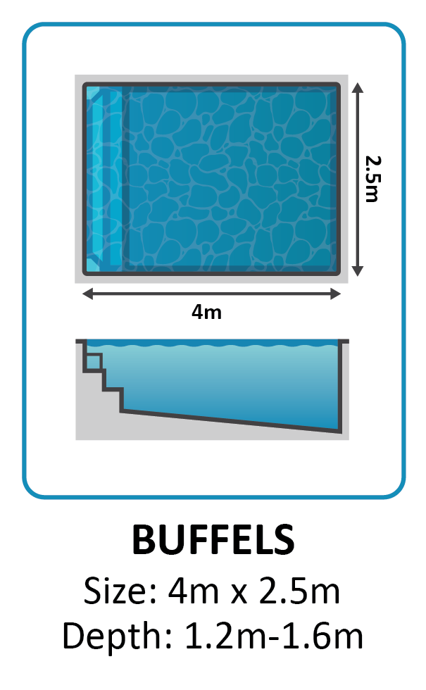 Buffels fibreglass pool shape